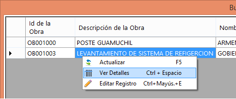 Obras detalles